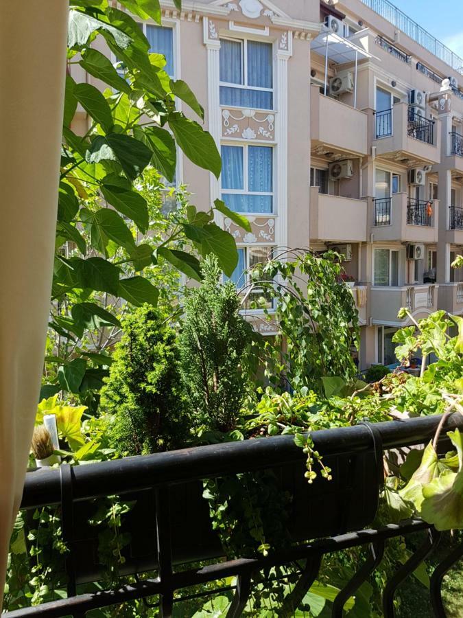 Guesthouse Zanier Nesebar Eksteriør bilde